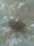 IMG_20190527_100342.jpg