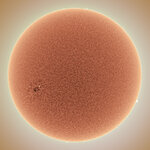 03-16-32-OS4301302281114_Silent Spring Sun Â© Alan Friedman CUT.jpg