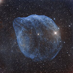 03-16-29-RS411960308950_SH2-308 Dolphin Head Â© Tian Lee CUT.jpg