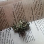 photo_2020-04-15_18-44-26 (2).jpg