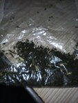 IMG_20201128_141637.jpg