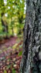 IMG_20191111_152937-01.jpeg