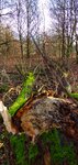 IMG_20191228_135120-01.jpeg