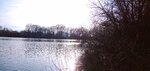 IMG_20191228_135738-01.jpeg