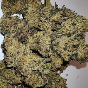 BCN Sour Diesel
