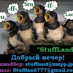 images (11).jpg
