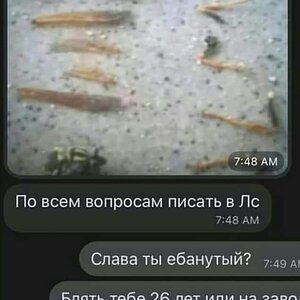 FB_IMG_1610651722684.jpg