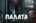 896DC05E-C1E3-47EB-BF27-8A77D99C2106.png