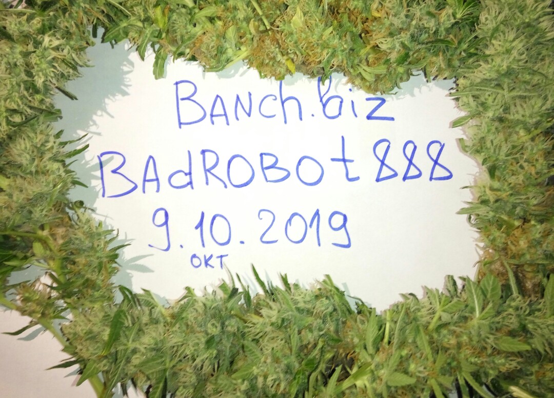 Гидропоника Киев @badrobot888