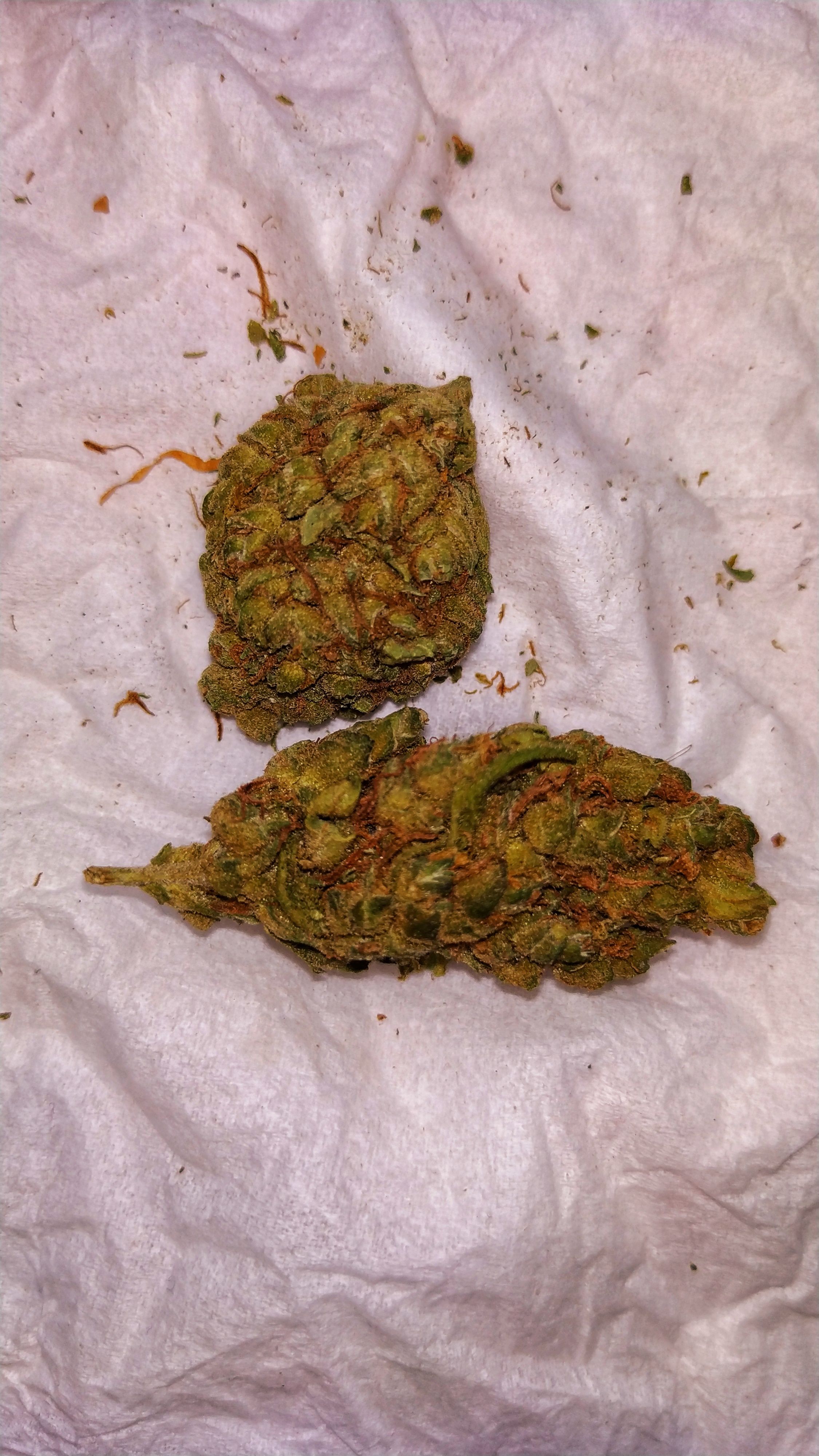 Не родные сестры